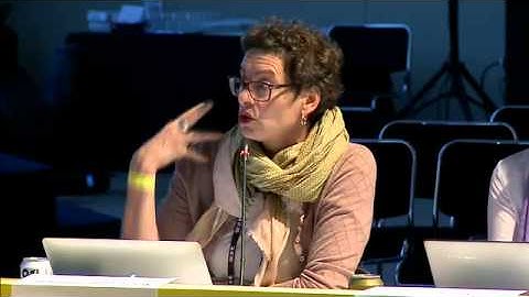 IGF 2015 -The Net Mundial Statement and the Evolution of the IG ecosystem -English