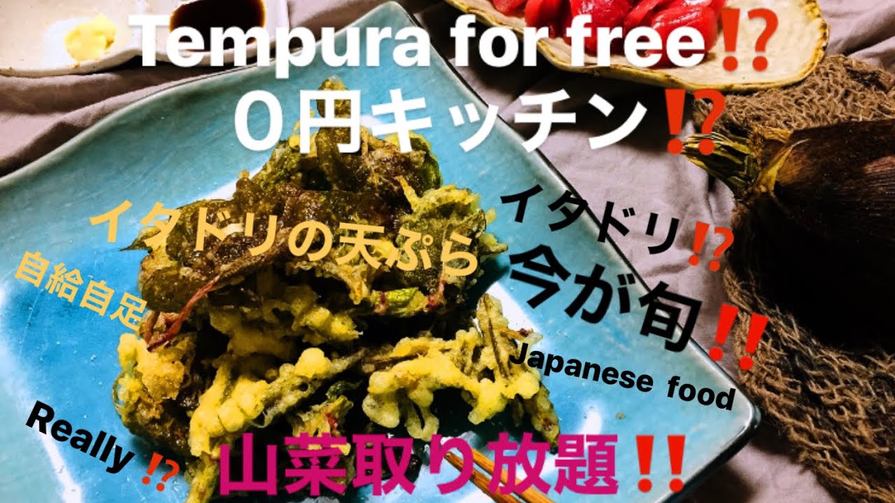 完全無料山菜 0円キッチン イタドリ の天ぷら Tempura For Japanese Knotweed Youtube
