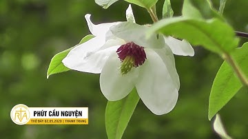 Phút Cầu Nguyện, Thứ Bảy 02/05/2020: Hoa Lòng Dâng Mẹ