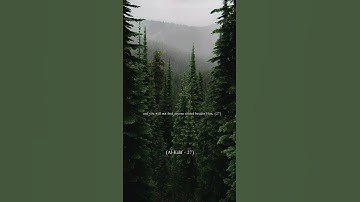 #religion #palestine سورة الكهف نور ما بين الجمعتين ف احرصوا على قراءتها ❤️