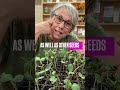 The Flower Farmer Club membership is OPEN! Comment CLUB for the details— #gardenersworkshopfarm