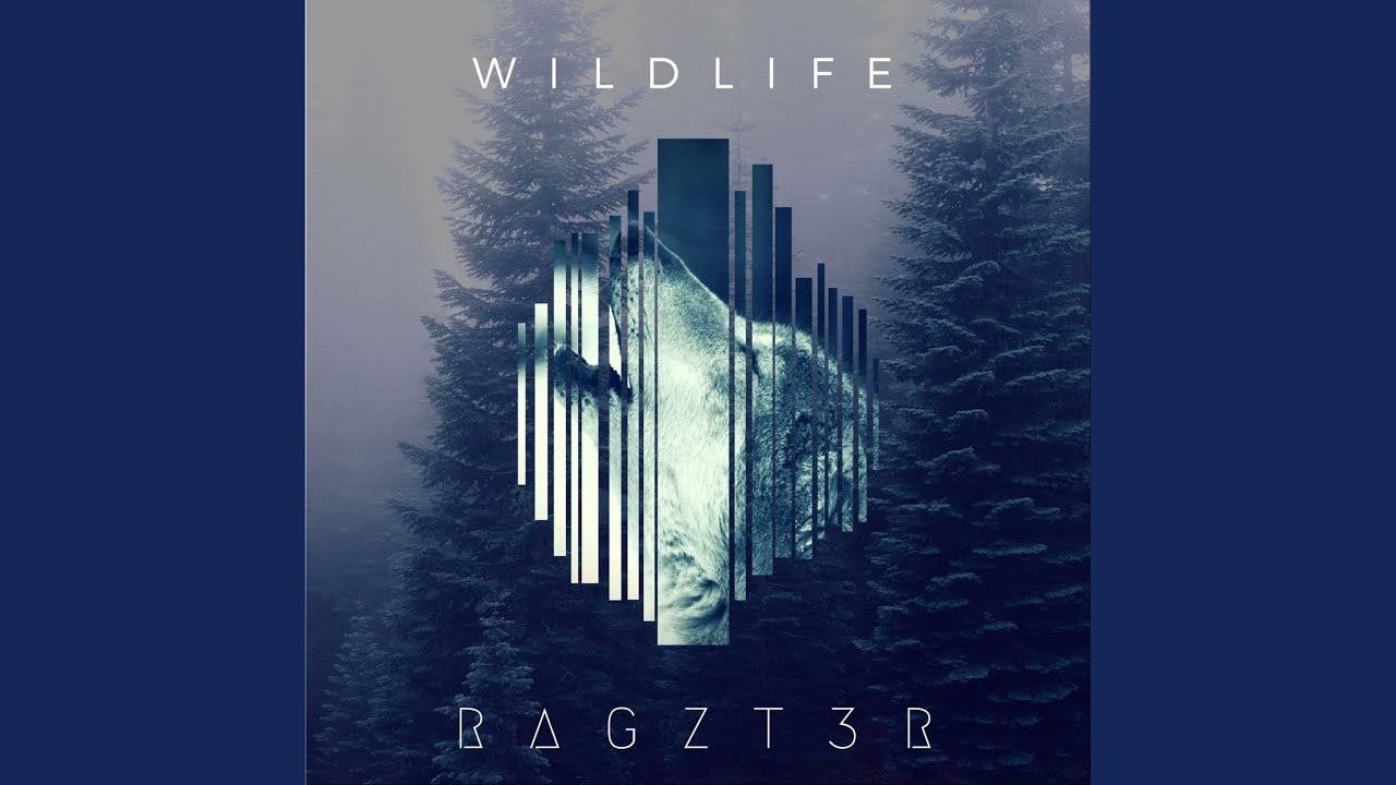 Obejrzyj Wildlife w YouTube Obejrzyj Wildlife w YouTube