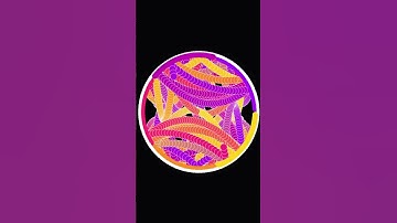 Pentatonic Circle but it speeds up 1% until it crashes #creativecoding #visualart #music  #shorts