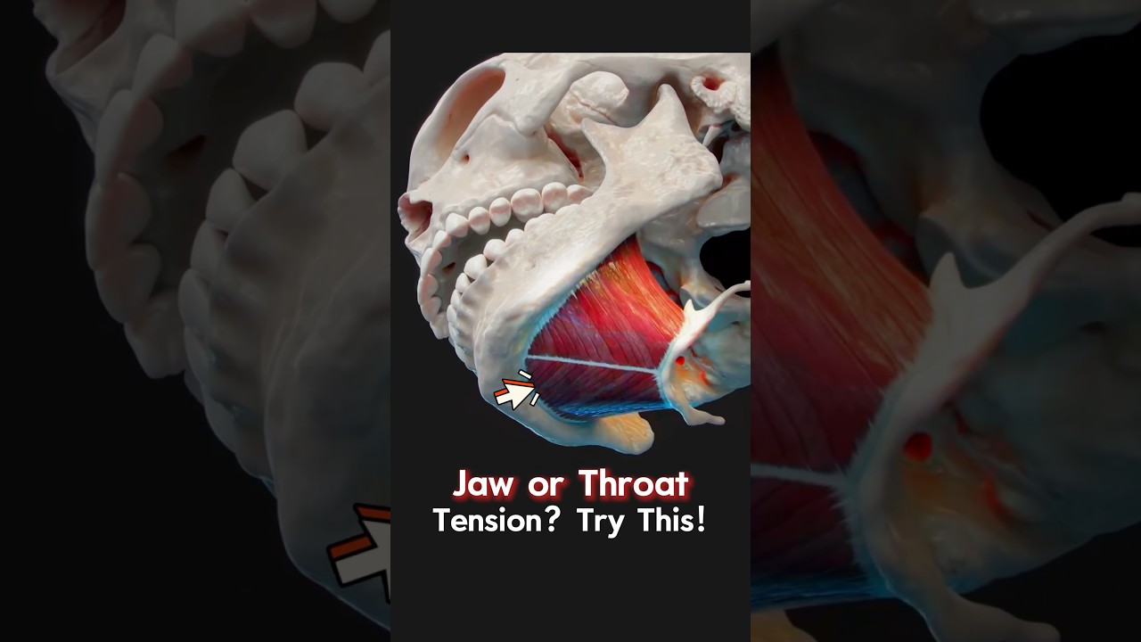Try THIS to Fix Jaw + Throat Tension! #jawpain #throattension #tmjrelief #tmjdisorder #jawpainrelief