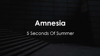 5 Seconds Of Summer - Amnesia (Lyric Video)