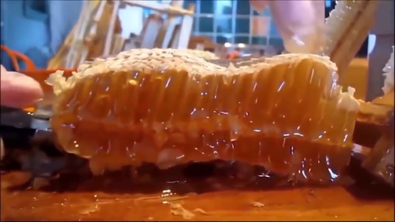 worlds most interesting inventions - YouTube