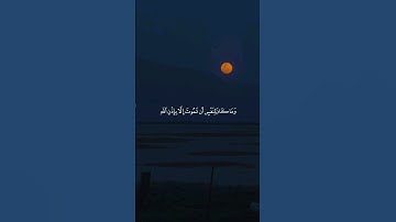 سورة آل عمران/ تلاوة خاشعة #راحة_نفسية #قران_كريم #ارح_قلبك #راحة_قلبك #اطمأن #اطمئنان