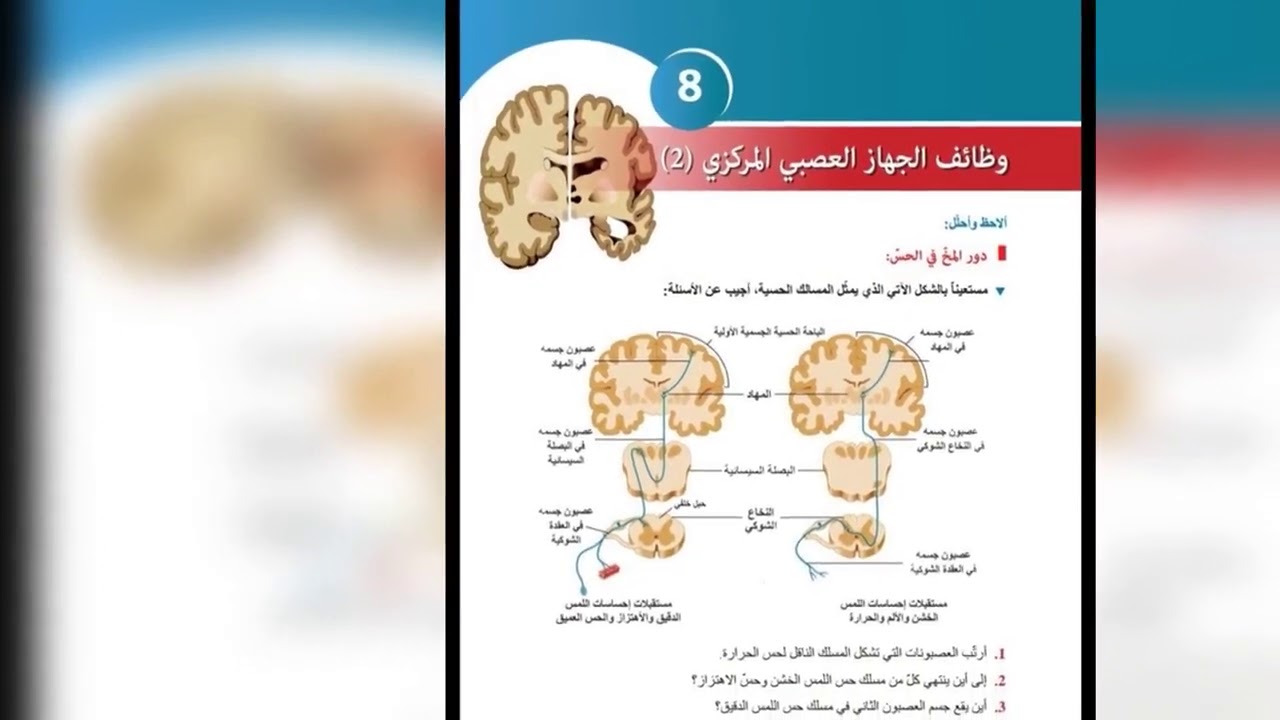 علوم بكالوريا وظائف الجهاز العصبي(2)🧠💯⚘