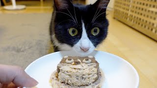 I made a cake with cat food on the 365th day after living with a kitten and celebrated it