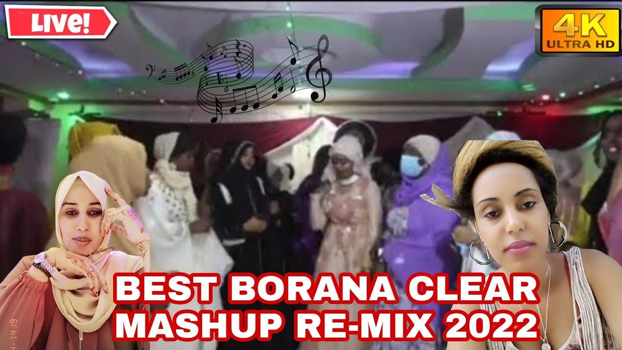 New Borana Intoxicated Mashup Non stop Mix 2023  Live Band