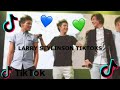 Larry Stylinson TikToks that Niall watches on his secret stan account 💙💚