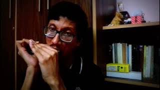 Pal Pal Dil Ke Paas | Harmonica Cover | Arindam Sen