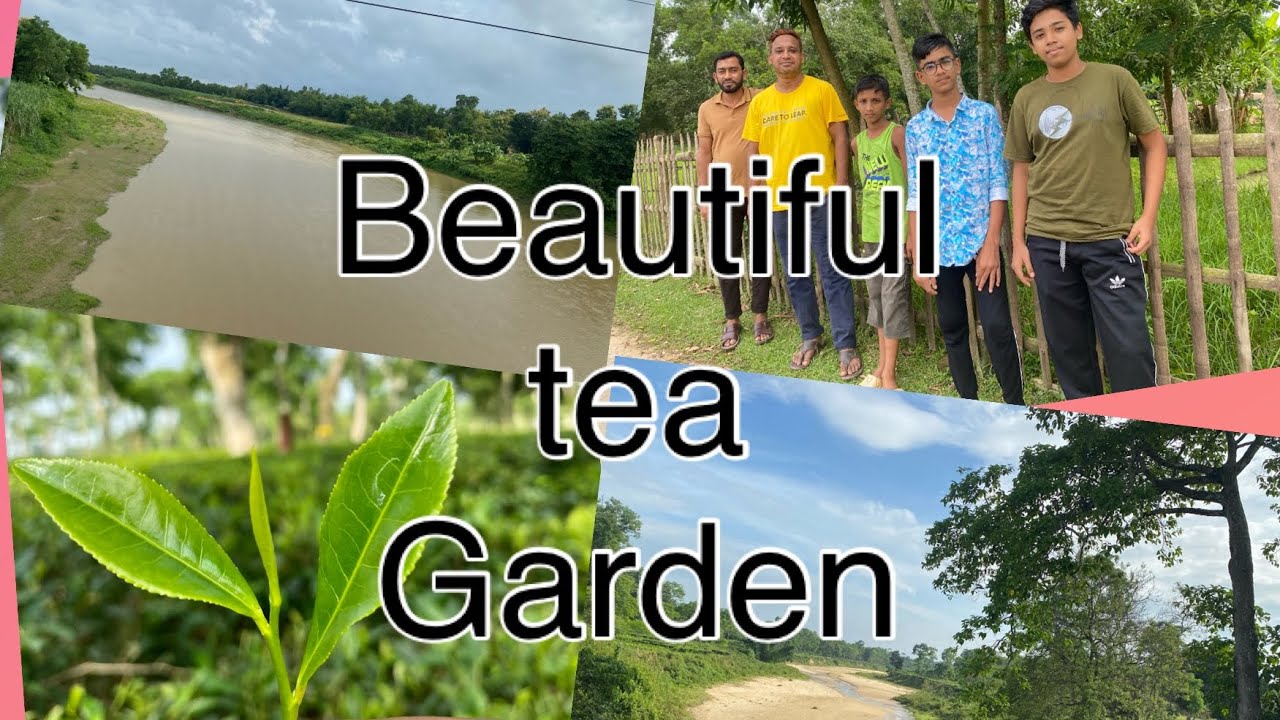 Bangladesh the land of beauty.Beautiful sylhet.Village beauty.Tea ...