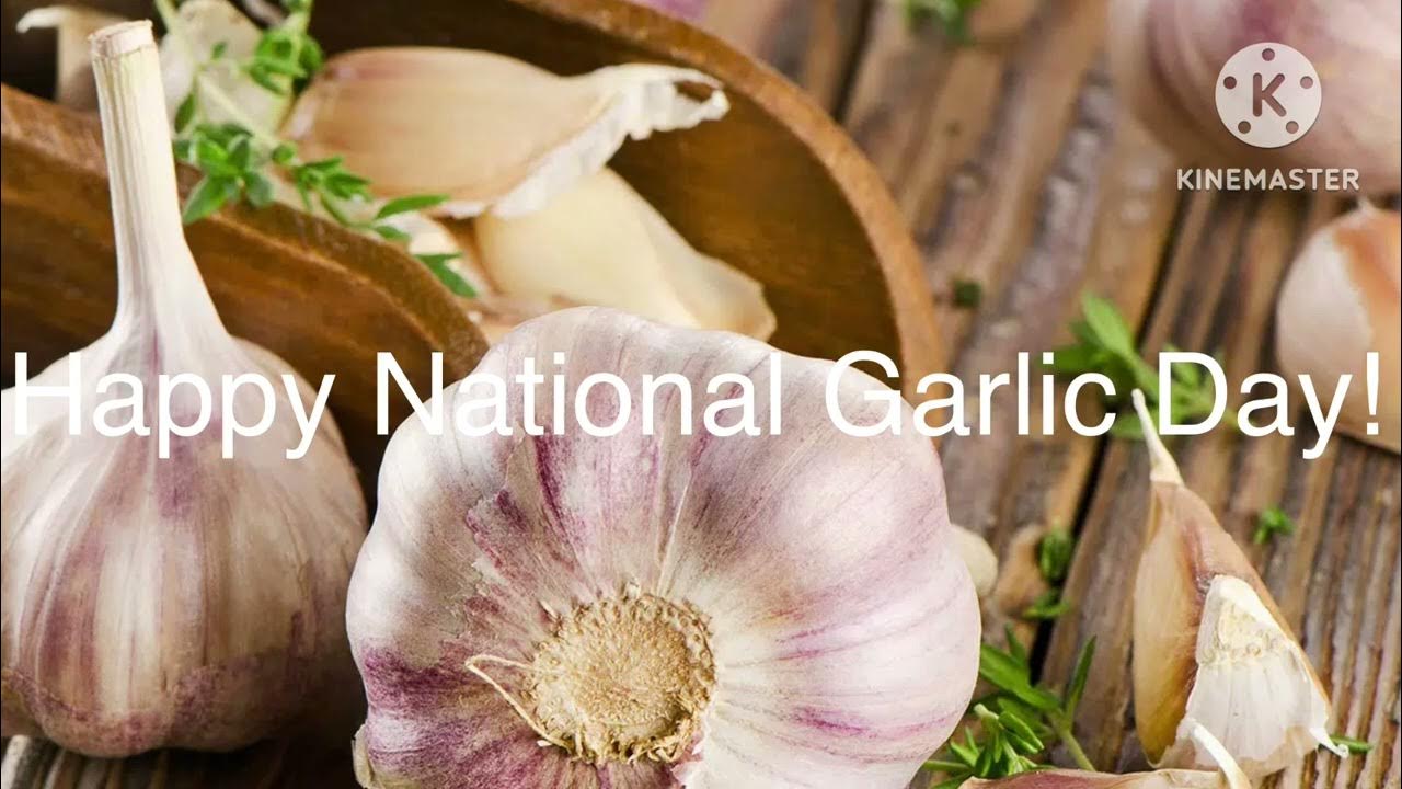 Happy National Garlic Day YouTube