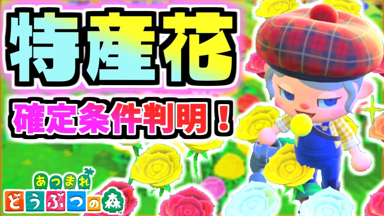 あつ森 特産花の確定条件 や タヌキ商店の改築条件 公式で情報解禁 あつもり 花 誕生月 Animal Crossing Flower Youtube