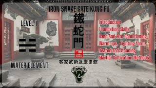 IRON SNAKE GATE KUNG FU - Jin Choy - Arrow Punch