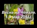 Алтай веснаЧемал