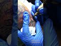 Slowmotion @goddesskalitattoo @tattooartist_anjana