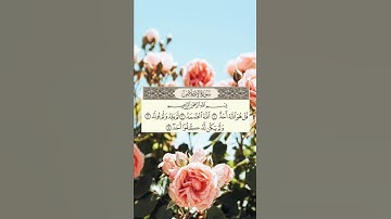 سورة الإخلاص مكتوبه بصوت الشيخ مشاري العفاسي