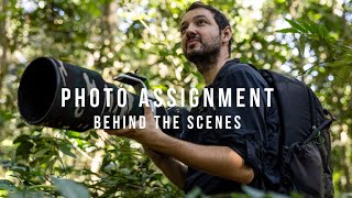 Photographing gorillas in the Congo rainforest