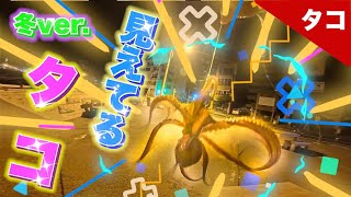 『タコ釣り』見えタコ発見！冬タコの狙い目は◯◯だ！！！