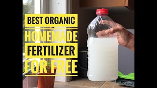Best Homemade Organic liquid Fertilizer| Rice\Potato\Pasta water | Free fertilizer for plants