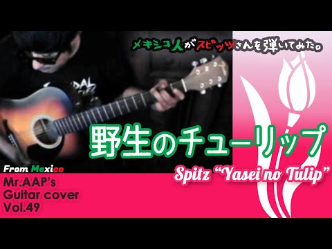 Spitz - Yasei no Tulips (Guitar Cover by Mexican) J-pop Music w/English sub