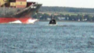 PY23 Paceship