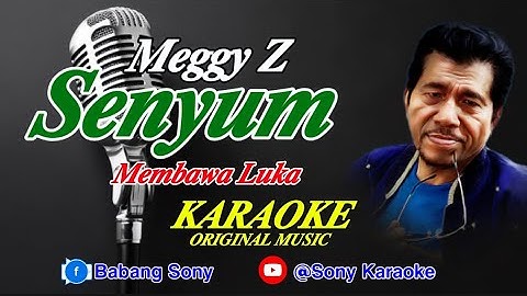 senyum membawa luka meggy z karaoke original || @sonykaraokeofficial