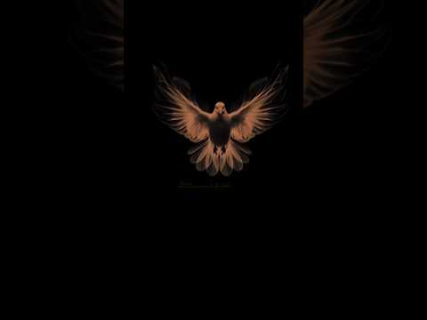 تبسامك حياه وشوفتك نعمه تصاميم جوده عاليه 4k تصميم فيديوهات دويتو شيلات ستوريات ذوق اليمن