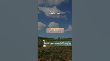 آيات بينات من الذكر الحكيم بصوت رائع جدا ❤ #القرآن_الكريم #المصحف #دويتو #اكسبلور