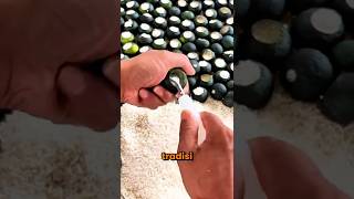 Kenapa Beras Dimasukkan Ke Dalam Jeruk Nipis❔#shorts #hungergamestiktok