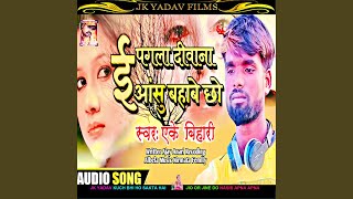 E Pagla Diwana E Asu Bahawai Chau (Maithili)