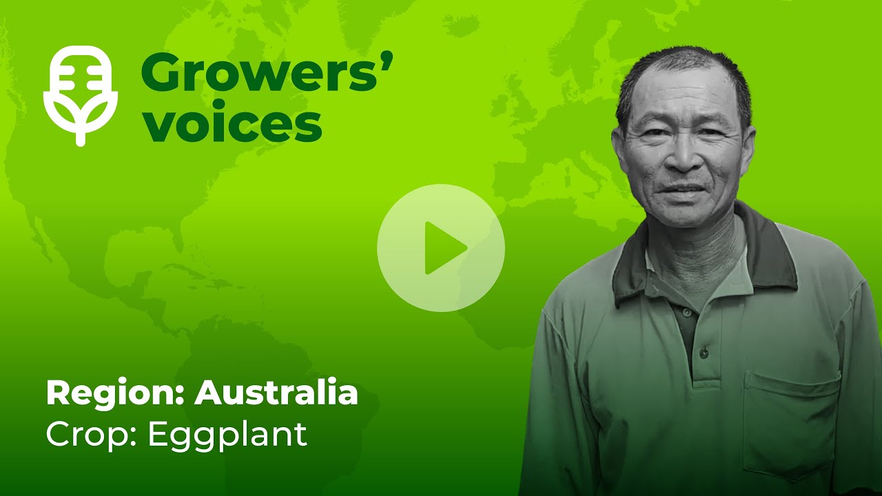 Rovensa Next Growers' voices: Quickon, Delfan Plus, Turbo Root | Australia (1/3)
