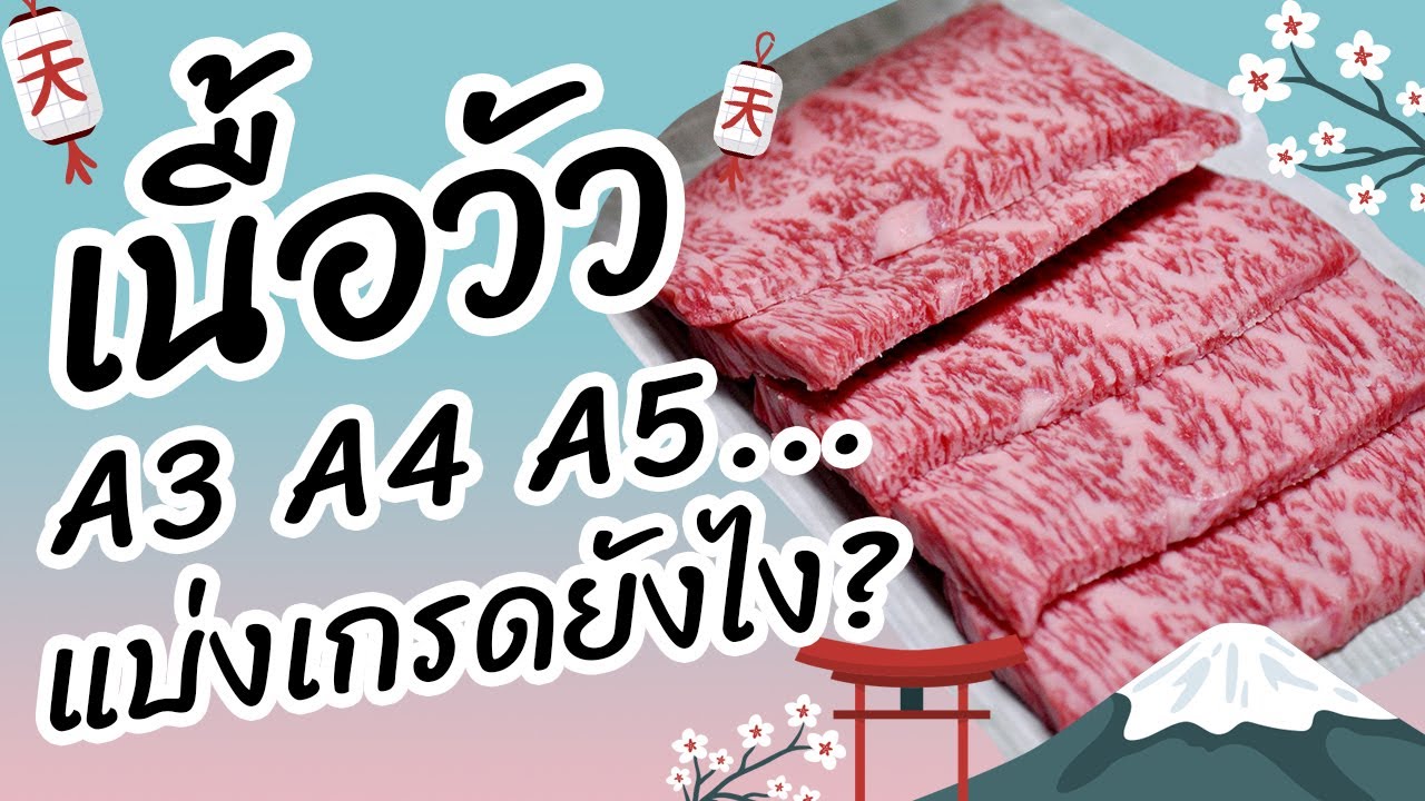 รู้หรือไม่? เนื้อวากิวเกรด A1 – A5 เค้าแบ่งกันยังไง?