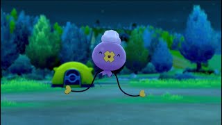 Drifloon In Camp - Pokemon Sword & Shield