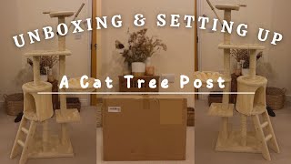 Unboxing + Setting up a cat tree (from Amazon)
