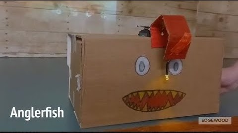 Basic Mechanisms using the Hummingbird Kit and Microbit_04 2022