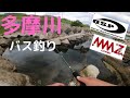 【おかっぱり】人気のOSP MMZチビは本当に釣れる？多摩川で試し釣り