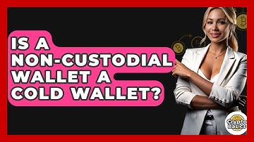 Is A Non-Custodial Wallet A Cold Wallet? - CryptoBasics360.com