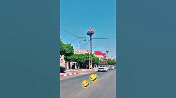 ربي يرزقك بلقلق يشبعك وقوق بلا مايقلق 