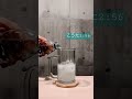 カメが仕上げるレモンサワー作り! #lemon #asmr #japan #youtubeshorts #drink #オレンジスパイニクラブ #ハルによろしく