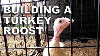 Building a Turkey Roost