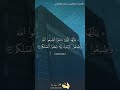 سورة محمد الآية 33 نرتل قرآن قرآن