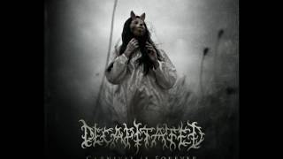 Decapitated - 404