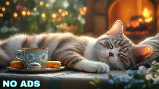 12 Hours Cat’s Favorite Music 🐾 Cat Calming Music - Ambient Audio For Cats Anxiety Ease