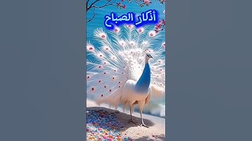 أذكار الصباح بصوت جميل