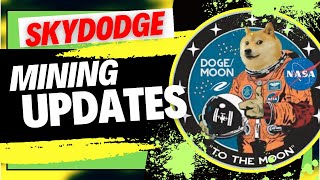 SKYDODGE (SKY) Mining | Important Settings You Need to Know