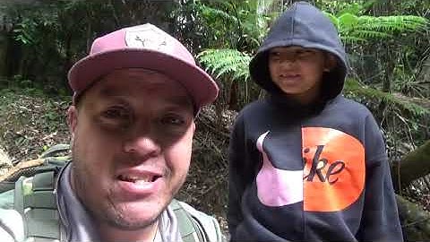 NSW Fossicking With Kids - Ewingar State Forest