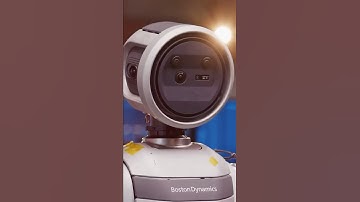 What Do Robots See?